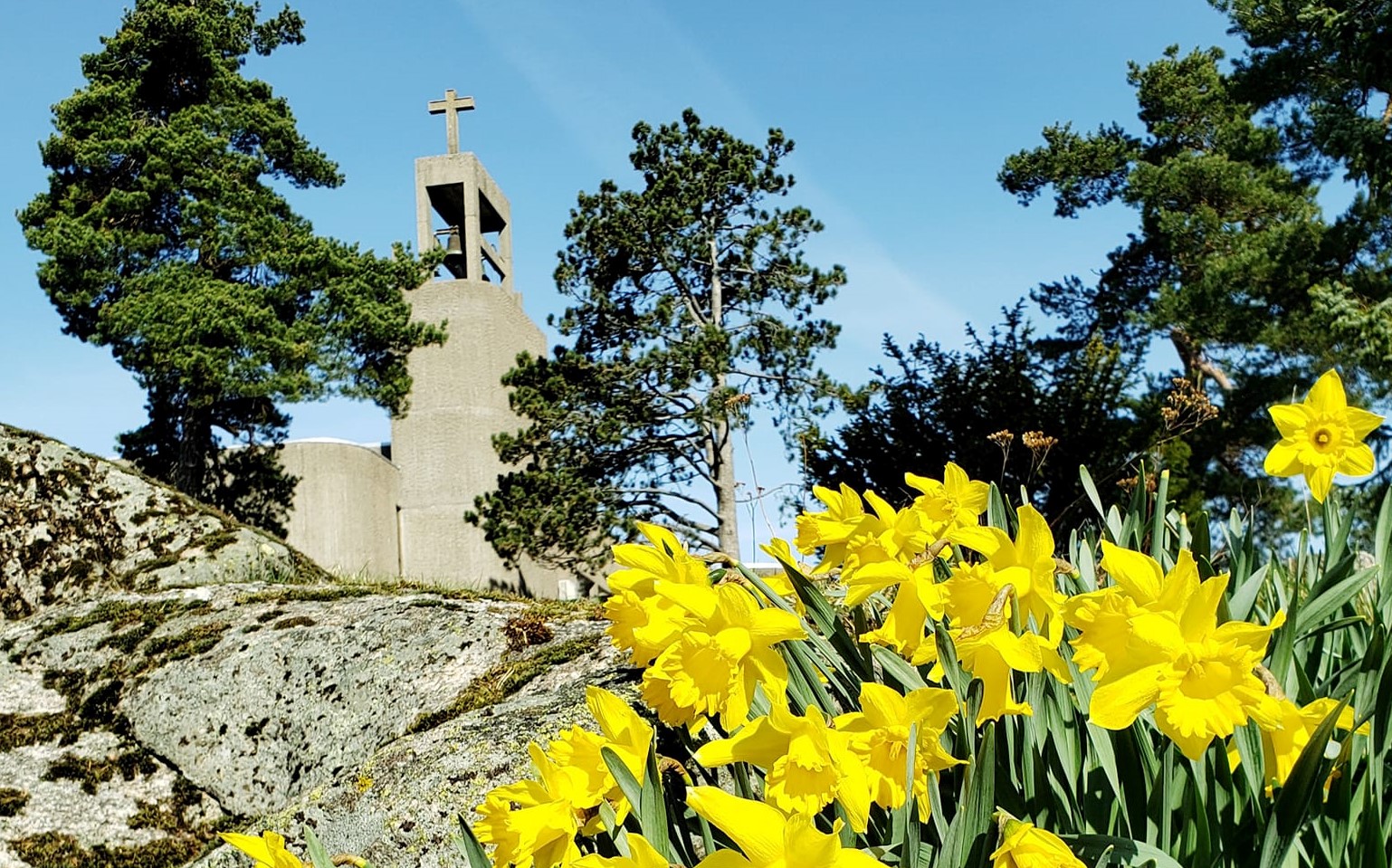 Foto av Grim kirke med bukett påskeliljer i forgrunnen. 